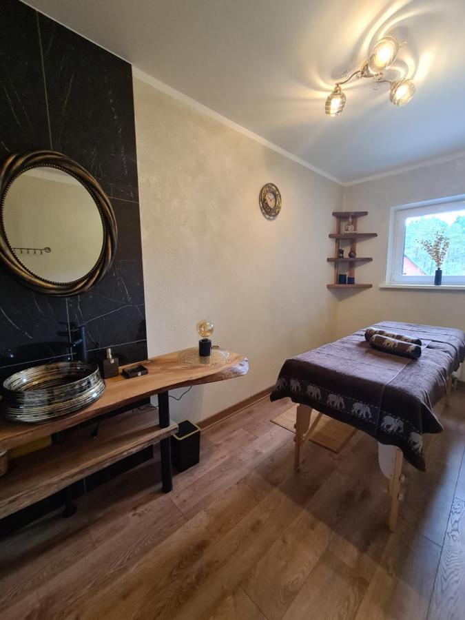 Отель Viesu Nams Upe Роя Экстерьер фото